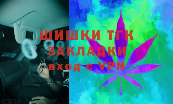 тгк Елабуга