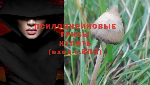 гашик Великий Новгород