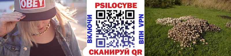 Псилоцибиновые грибы прущие грибы  наркошоп  Зубцов 